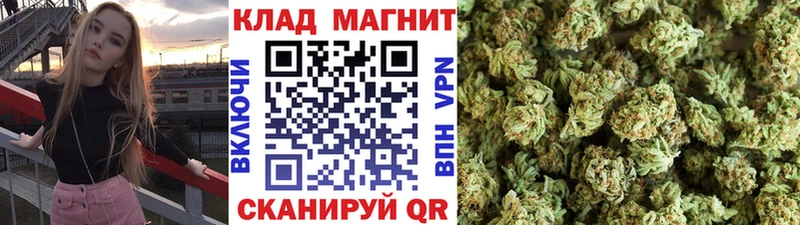 Купить закладку Альфа ПВП  Марихуана  Кокаин  Меф  АМФЕТАМИН  Галлюциногенные грибы  ГАШИШ  Пласт