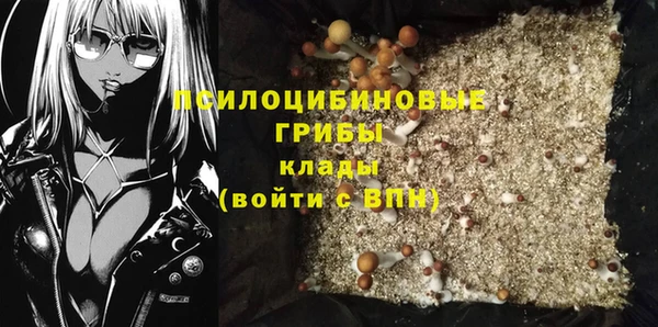 стафф Алексин