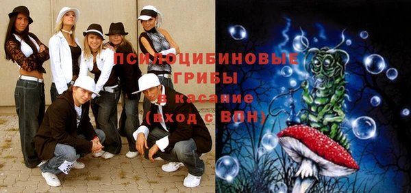 стафф Алексин