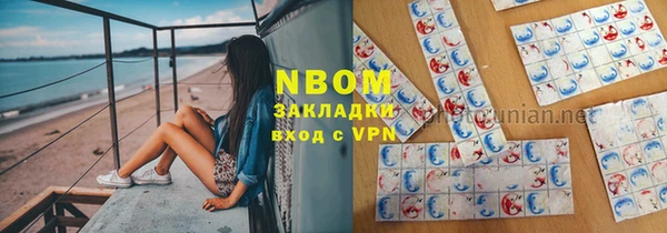 стафф Алексин