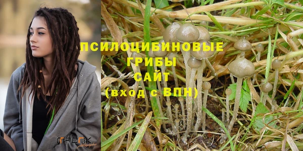 бутират Алзамай