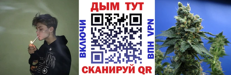 Купить где  Пласт  Бошки Шишки MAZAR 